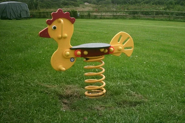 Chicken spring rider playground equipment