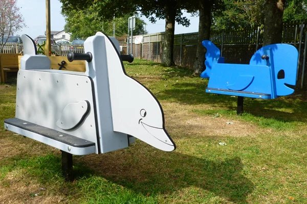 Dolphin rocker outdoor play equipment