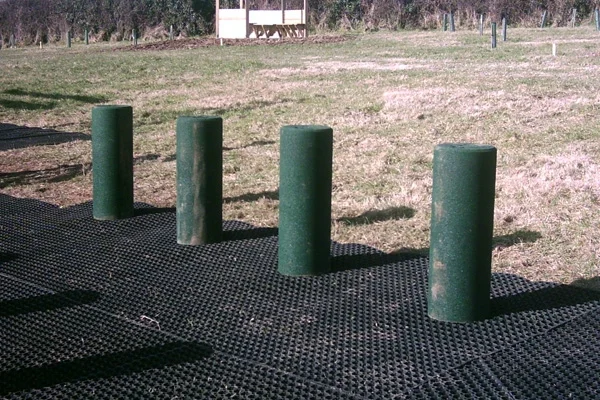 Green leapfrog posts balance play